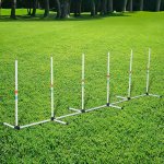 Agility sport pour chien lot de 6 slaloms professionnels d'agilité avec sac de transport plastique blanc ... Agility sport pour chien lot de 6 slaloms professionnels d'agilité avec sac de transport plastique blanc ...