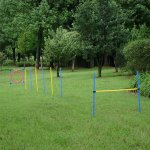 Agility sport pour chiens Équipement complet : 6 poteaux slalom, obstacle, anneau + sac de transport ... Agility sport pour chiens Équipement complet : 6 poteaux slalom, obstacle, anneau + sac de transport ...