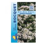 Ail des ours - les graines bocquet - 0, 5g