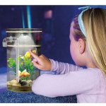 Aquarium autonettoyant fish wonder