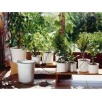 Arrosoir automatique de vacances pour plantes en pots + réservoir Arrosoir automatique de vacances pour plantes en pots + réservoir