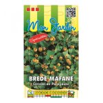 Brede mafane - cresson para jaune - les graines bocquet - 0, 2g