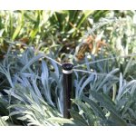 Buse mpr + fb - 50 - bubbler détrempeur avec filtre - débit préréglé 98 l / h Buse mpr + fb - 50 - bubbler détrempeur avec filtre - débit préréglé 98 l / h