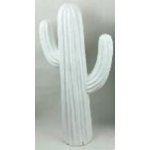 Cactus d�coratif xl