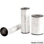Cartouche filtrante de rechange pour filtre c0800euro - cx0800re