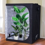 Chambre de culture hydroponique tente de culture grow box 1, 5l x 1, 5l x 2h m polyester mylar noir Chambre de culture hydroponique tente de culture grow box 1, 5l x 1, 5l x 2h m polyester mylar noir