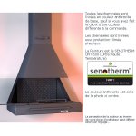 Chemine centrale anthracite avec porte encadrement inox + base et foyer acier ch91
