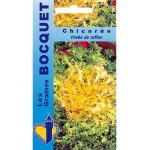 Chicor�e fris�e de ruffec (� grosses c�tes) - les graines bocquet - 4g