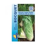 Chicorée À large feuille améliorée pain de sucre - les graines bocquet - 4g Chicorée À large feuille améliorée pain de sucre - les graines bocquet - 4g