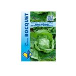 Chicore  large feuille bianca invernale - les graines bocquet - 3g