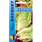 Chicore scarole cornet d'anjou - les graines bocquet - 4g