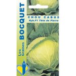 Chou cabus hyb f1 tête de pierre - les graines bocquet - 0, 3g Chou cabus hyb f1 tête de pierre - les graines bocquet - 0, 3g