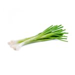 Ciboulail - les graines bocquet - 1g