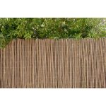 Clture osier altern 2x3m