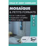 Colle et joint poudre desvres, blanc 10 kg, 2 m