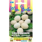 Coloquinte oeuf blanc (nest egg) - les graines bocquet - 3g Coloquinte oeuf blanc (nest egg) - les graines bocquet - 3g