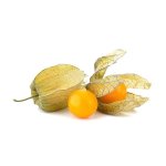 Coqueret du perou (physalis peruviana) - les graines bocquet - 0, 5g