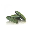 Cornichon hyb f1 regal - les graines bocquet - 0, 2g