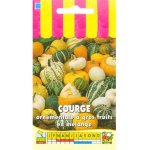 Courge ornementale � gros fruits en m�lange - les graines bocquet - 3g
