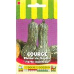 Courge pleine de naples / porte - manteau - les graines bocquet - 3g