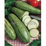 Courgette grisette de provence - les graines bocquet - 2g