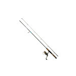 Ensemble canne carbone 2 brins 2, 10m + moulinet rd t3