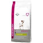 Eukanuba croquettes au poulet - 2kg - pour jack russell