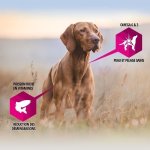 Eukanuba croquettes au poulet daily care - peau sensible - toutes races - 2, 3kg - pour chien adulte