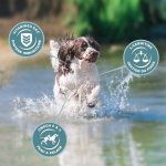 Eukanuba croquettes au poulet - race moyenne - 15kg - pour chien adulte