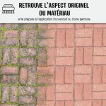 Fongicide antimousse concentr pour terrasse et sols - limine aussi algues et lichens - anti - dpt ...