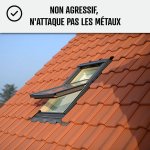 Fongicide antimousse concentr pour toiture - limine aussi algues et lichens - anti - dpt vert toiture ...