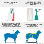 Frontline combo chien 20 - 40kg - 6 pipettes