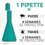 Frontline spot on chien 20 - 40kg - 6 pipettes