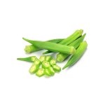 Gombo (okra) - les graines bocquet - 3g