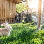 Grillage 1x5mm carr� 12, 7mm fer galvanis� windhager