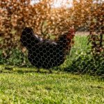 Grillage vert windhager mailles 13mm 1x10m