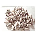 Haricot nain  cosser saint esprit  ?il rouge - les graines bocquet - 100g