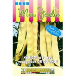 Haricot  rames beurre or du rhin - 100g - les graines bocquet - 100g