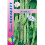 Haricot À rames mangetout phénomène (phenomeen) - les graines bocquet - 100g Haricot À rames mangetout phénomène (phenomeen) - les graines bocquet - 100g