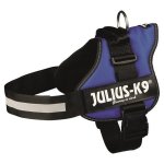 Harnais power julius - k9 - 2 - l - xl : 71 - 96 cm - 50 mm - bleu - pour chien