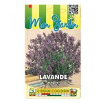 Lavande officinale vivace vraie - les graines bocquet - 1g