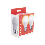 Lot de 2 ampoules led a60 - culot e27 - classique
