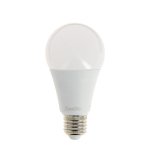 Lot de 2 ampoules led a65 - culot e27 - classique