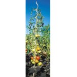 Lot de 5 tuteurs spirale en acier galvanis h:1, 80m windhager