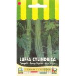 Luffa cylindrica (éponge végétale) - les graines bocquet - 1g Luffa cylindrica (éponge végétale) - les graines bocquet - 1g
