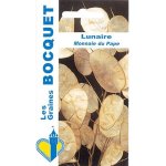 Lunaire monnaie du pape - les graines bocquet - 2g