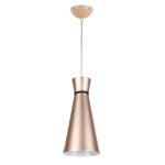 Lustre suspension luminaire culot e27 120mm x ?250mm