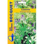 Luzerne (medicago sativa) - les graines bocquet - 100g Luzerne (medicago sativa) - les graines bocquet - 100g