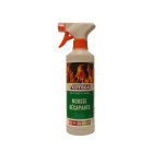 Mousse d�capante vitre d'insert 500ml la foyere