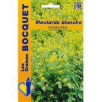 Moutarde blanche (sinapis alba) - les graines bocquet - 100g